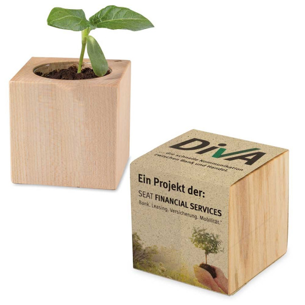 Houten plantenset