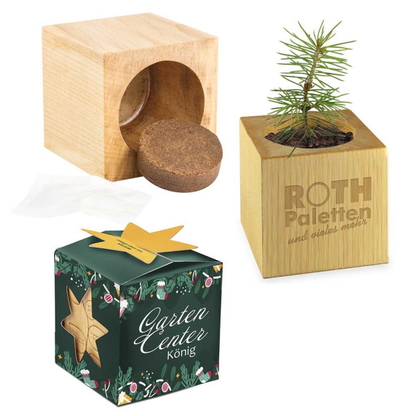 Houten plantenset maxi star-box Xmas