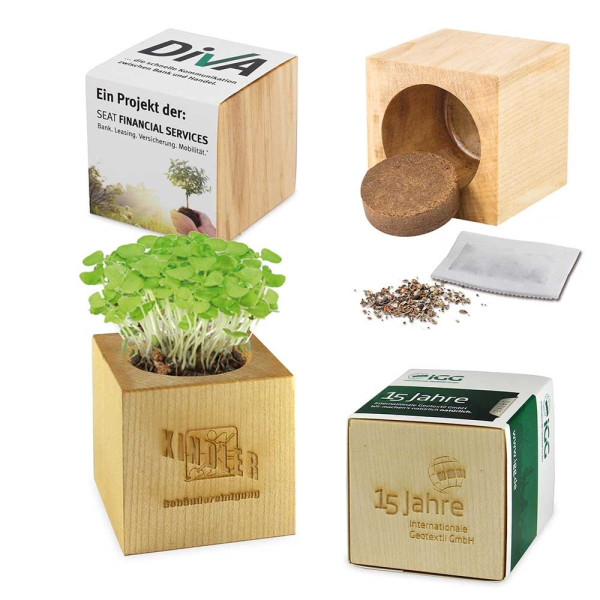 Houten plantenset Maxi met zaden