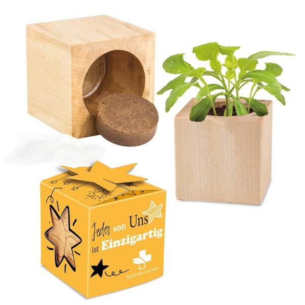 Houten plantenset star-box Klavertje Vier met zaden