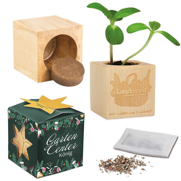 Houten plantenset maxi star-box met zaden